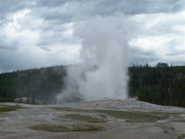 WY