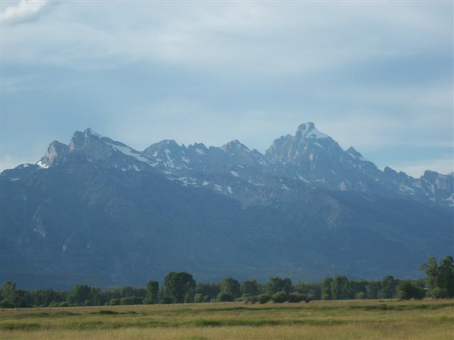 WY