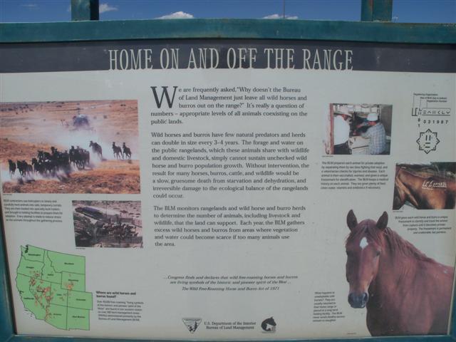 WY