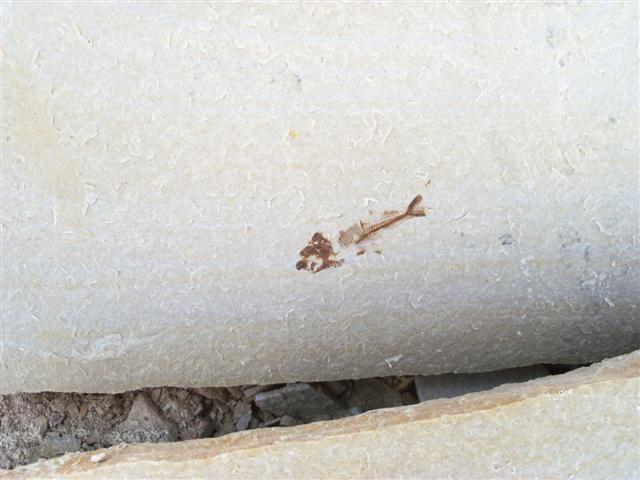 WY