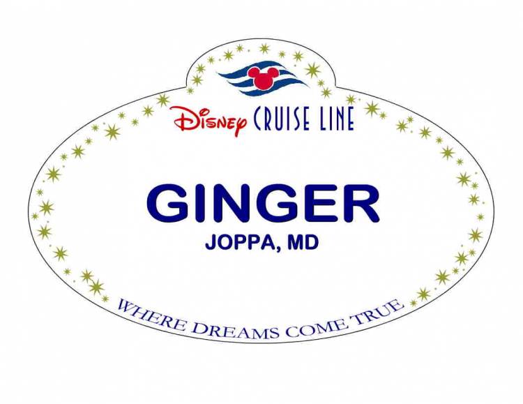 XGINGER2