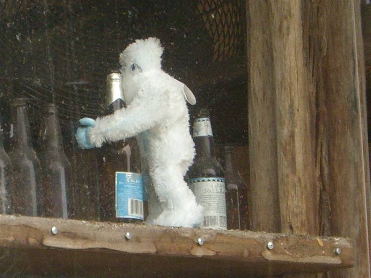 Yeti hugging a beer...