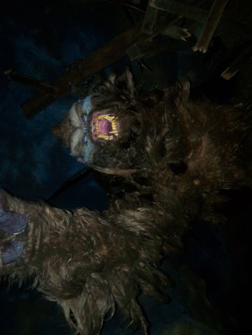 Yeti