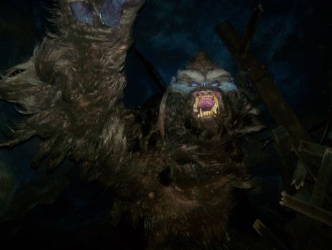 Yeti
