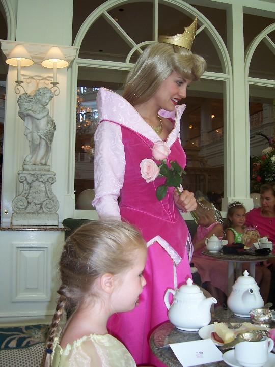 You_like_all_the_princesses