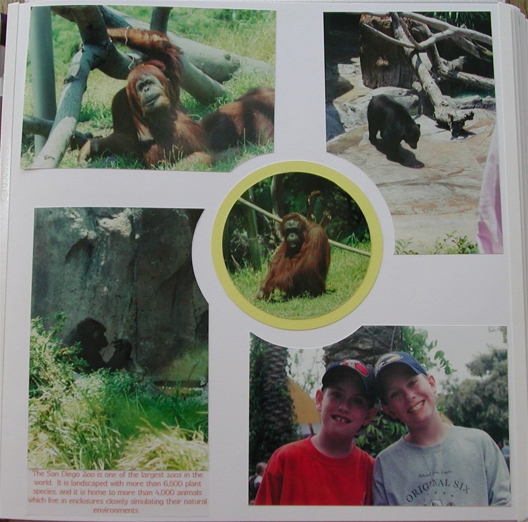 Zoo