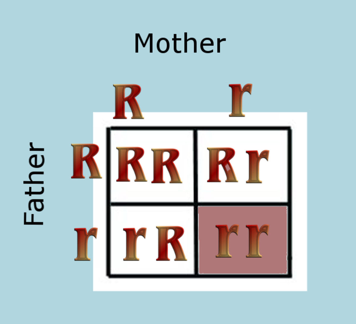 6527364_f520.jpg