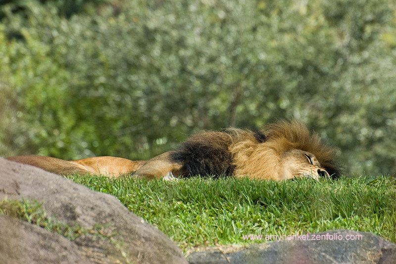 p222438027-4.jpg