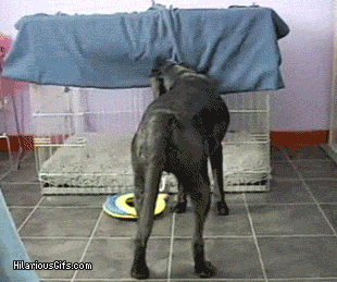 Image result for blanket gif