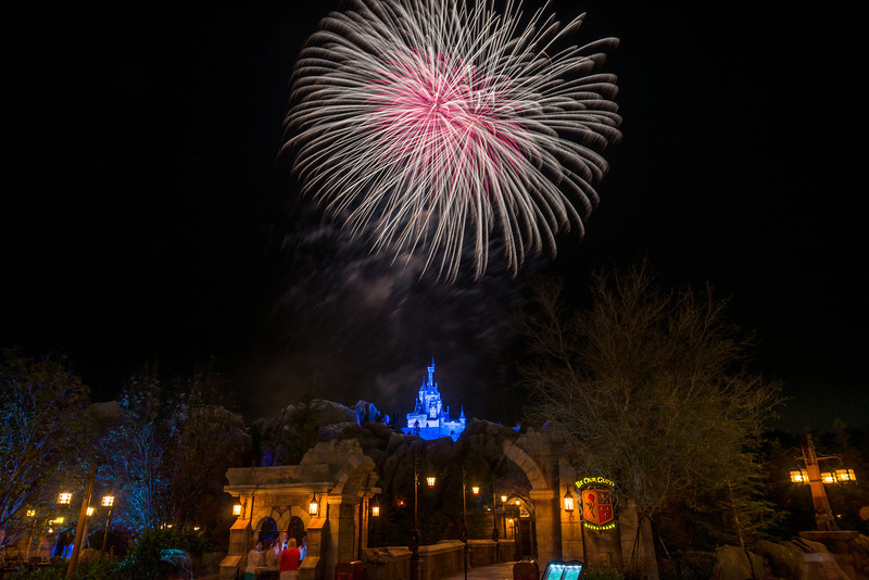 DSC_7441-L.jpg