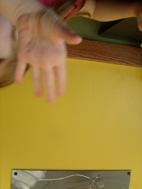 S6300551.JPG