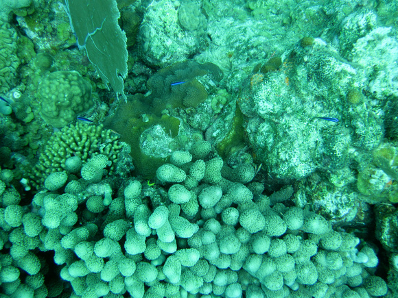 p646438696-3.jpg