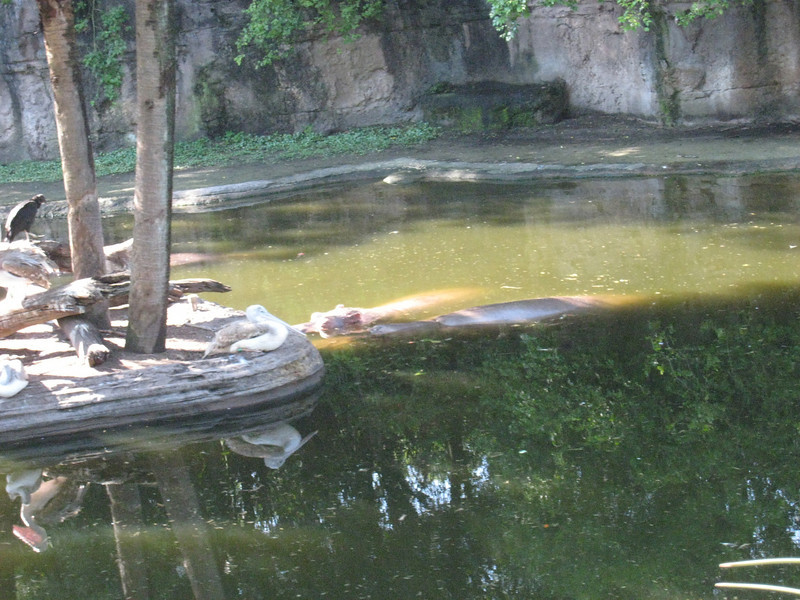 322078471_7fWPw-L.jpg