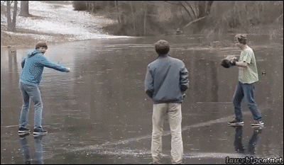 giphy.gif