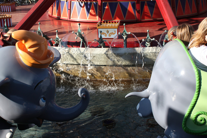 IMG9187-L.jpg