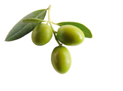 olive.jpg
