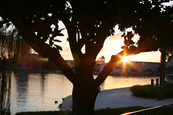 p1036339995-3.jpg