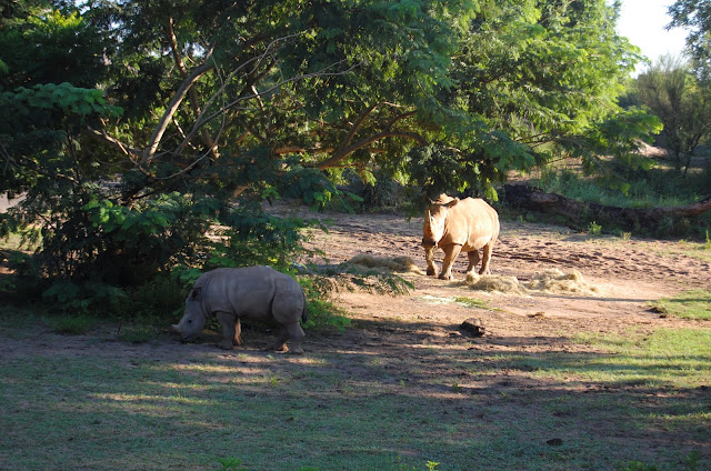 DSC_0055-2.JPG