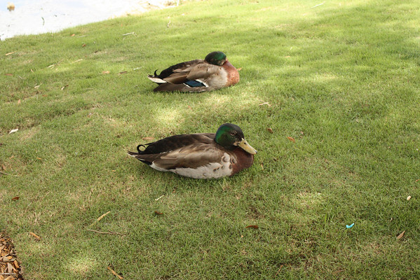 515814480_WAtE3-M.jpg