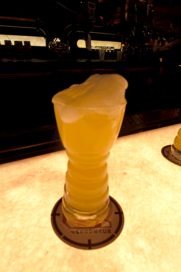 IMG-9788.jpg