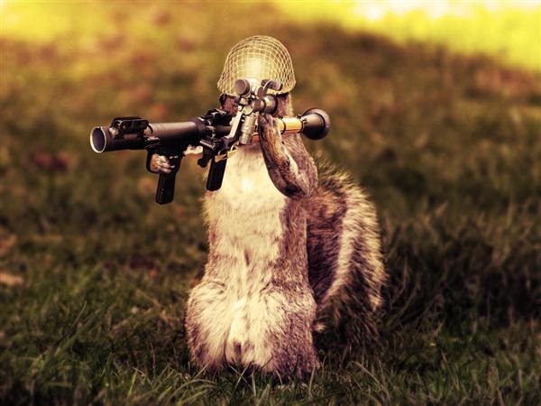 PhotomanipulationSquirrel.jpg