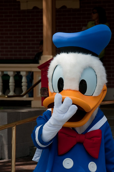 570717064_sfa82-L.jpg