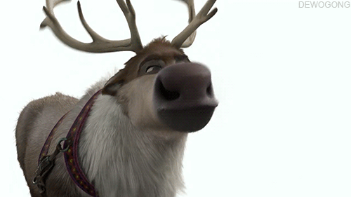 tumblr_mu62khrLy41rd0rbzo1_500.gif