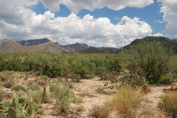 DSC7163-M.jpg