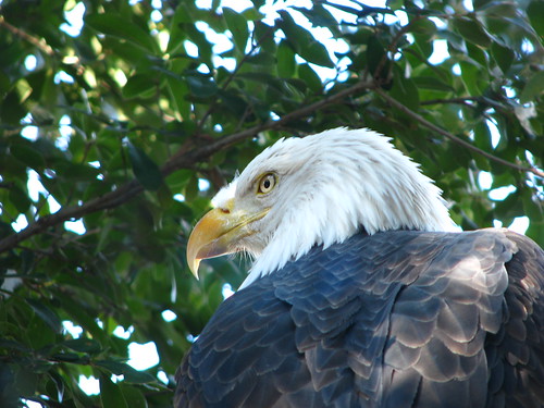2149901289_a224f2d7de.jpg