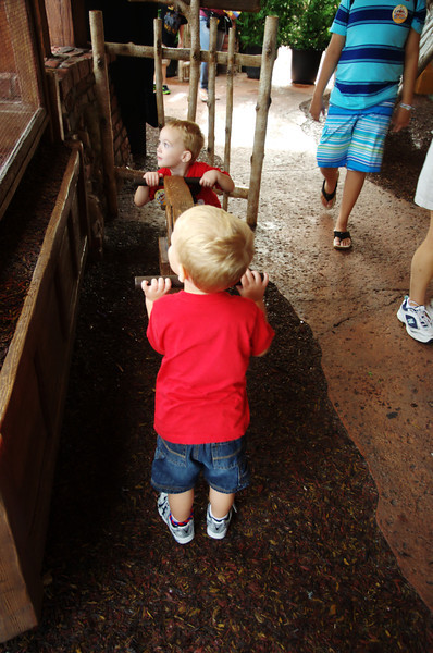 DSC7040-L.jpg