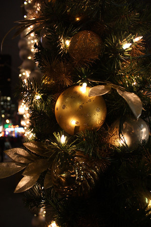 1122449849_yN43g-M.jpg