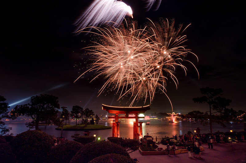 DSC0924-L.jpg