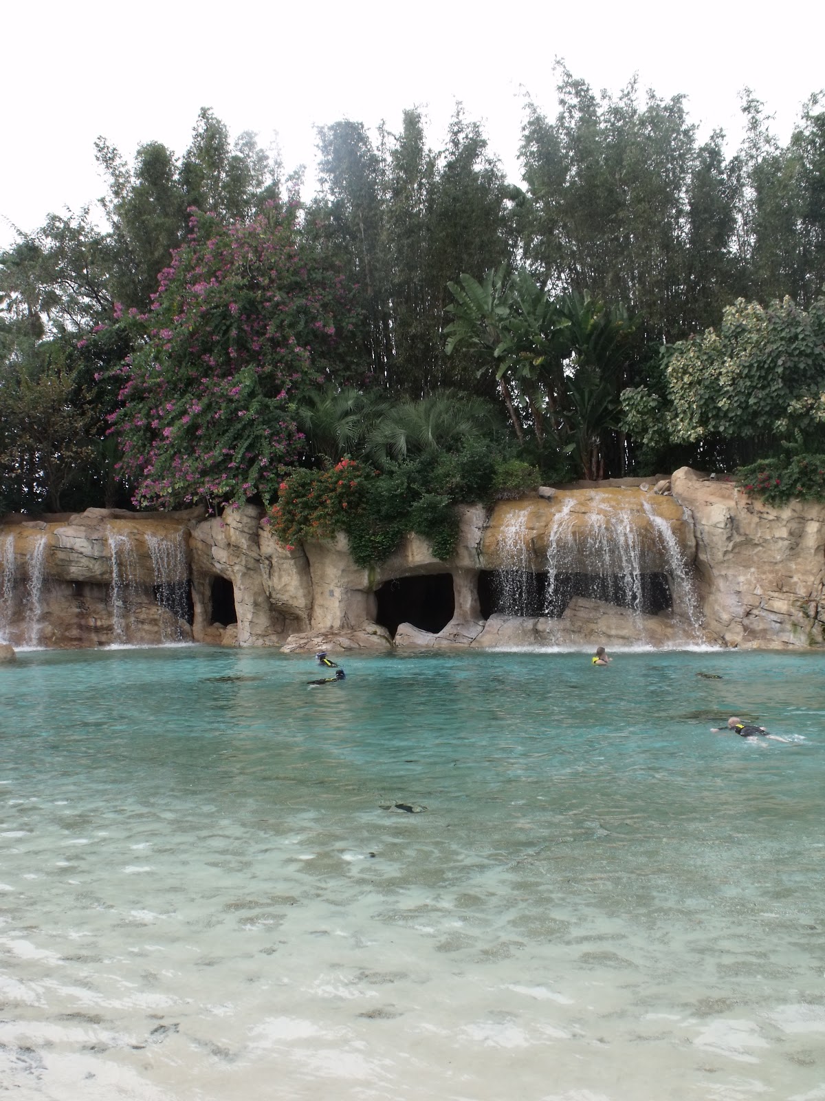 DSCF8706.JPG