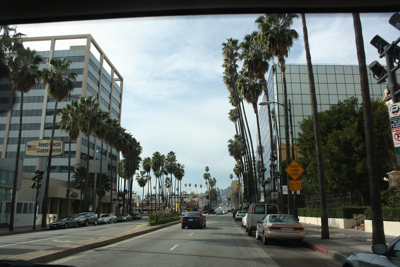 IMG0961-L.jpg