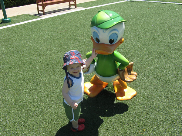 801263800_nhJU4-M.jpg