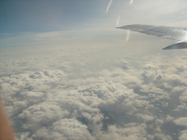 S6300803.JPG