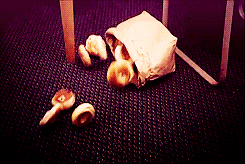 tumblr_lxe9vrKye51r6394xo1_250.gif