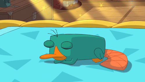 tumblr_lpxg1jn2Jz1qd8ermo1_500.gif