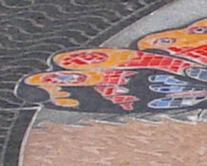 WITW1.jpg