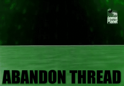 bb7.gif