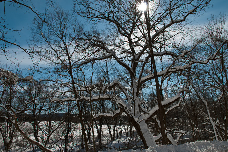 783373708_SXN58-L.jpg