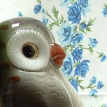 give%20a%20hoot!copy.jpg