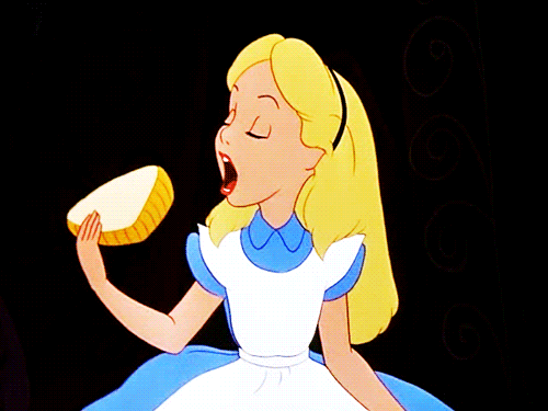 tumblr_ljq1pa8KnM1qj53sio1_500.gif