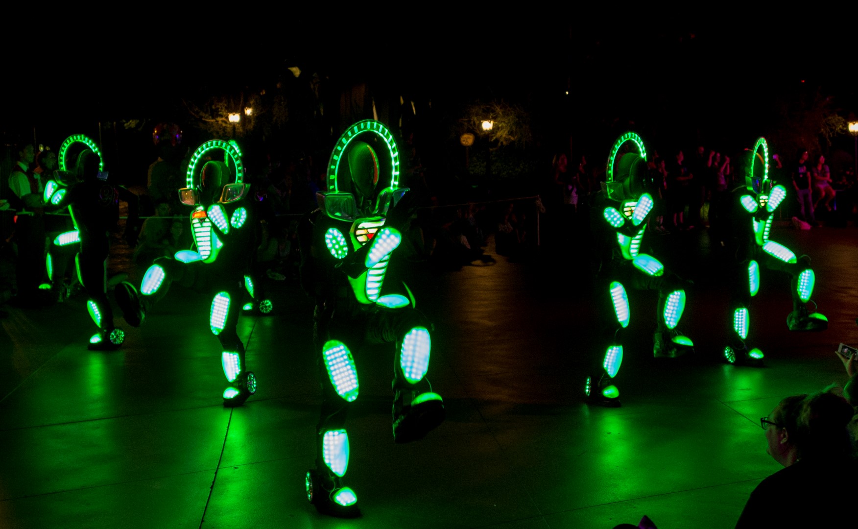 DSC_4420%20(Large).jpg