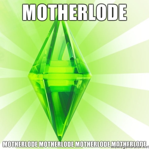 tumblr_ljwo5ucFYt1qffgx4o1_500.jpg