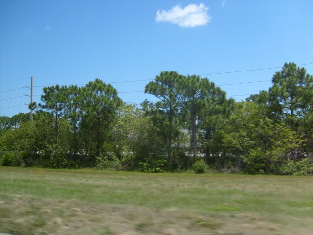 S6300548.JPG