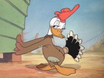 donald32.jpg