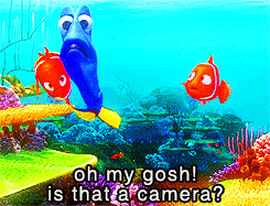 tumblr_lpt6piomkP1qax2xho1_250.gif