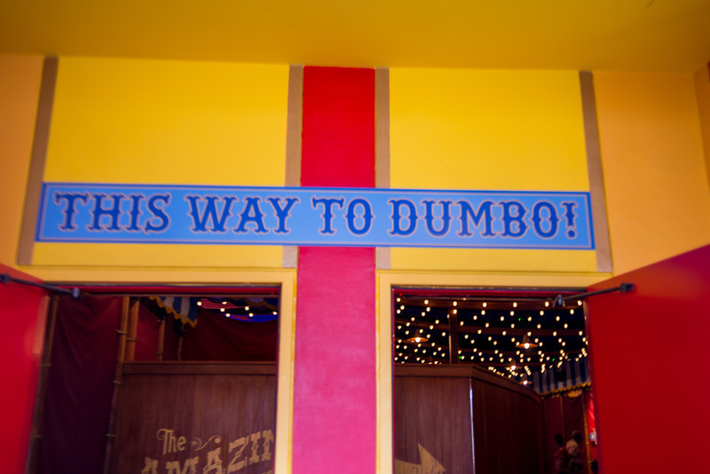 DSC_7289-L.jpg