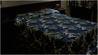 6.gif